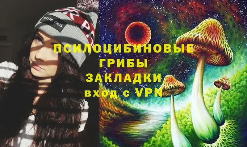 Псилоцибиновые грибы Magic Shrooms  Красноуфимск 